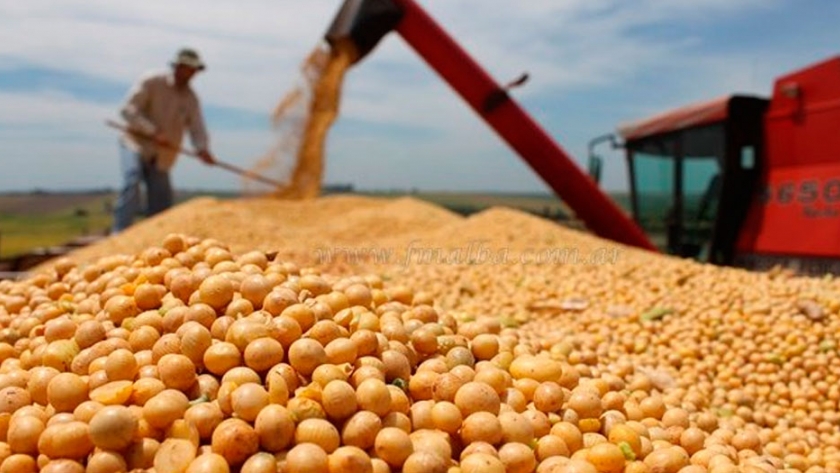 El campo puede ser la solución para salir de la crisis