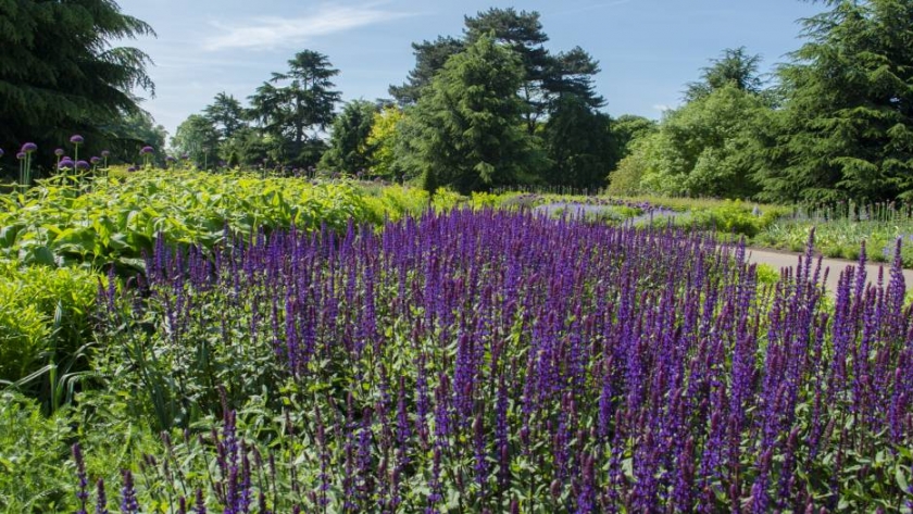 El Royal Botanic Gardens Kew, un pulmón del mundo en Londres