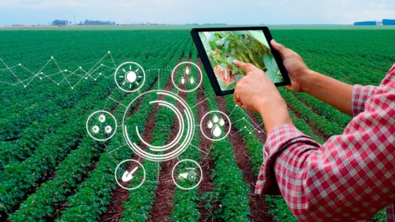 De los satélites al campo: una agtech argentina llevará su modelo de rindes a una cumbre de la NASA