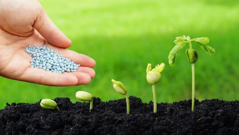 ¿Por qué hoy los fertilizantes son un bien escaso en Argentina?