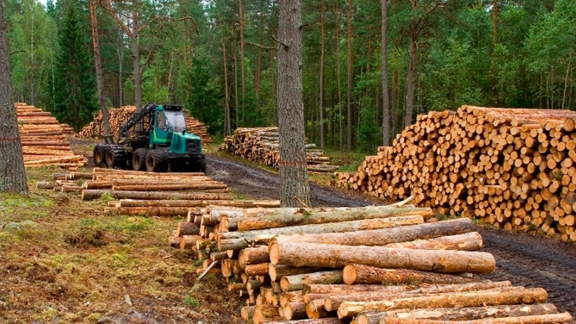Corrientes invita al seminario "Madera argentina para el mundo"