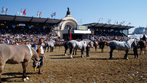 Exposición Rural 2025: negocios por más de U$S 1.100 millones en la gran vidriera del agro argentino