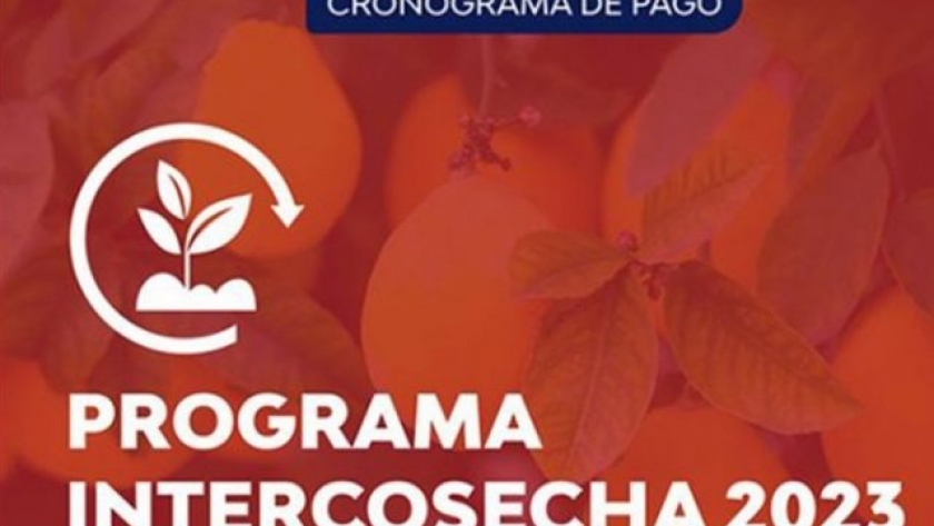 Hoy empieza el pago del programa Intercosech