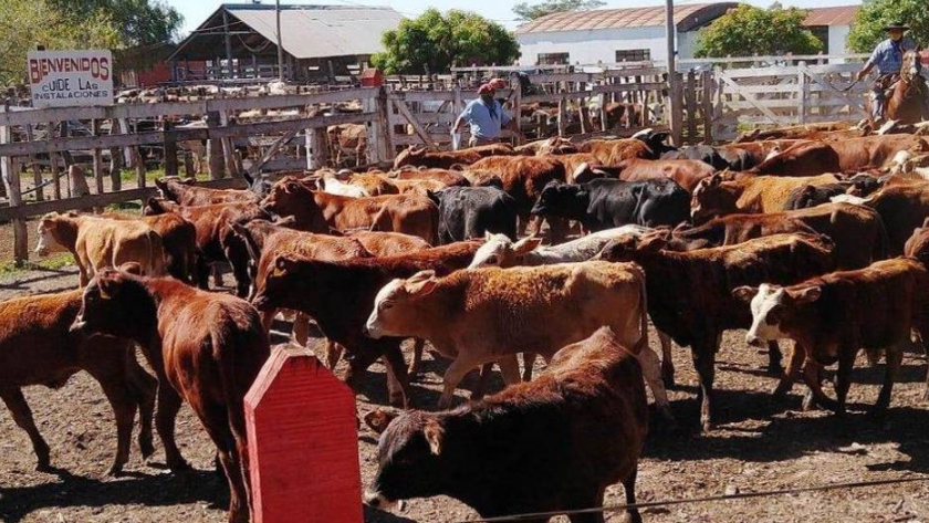 Remates: incremento de las ventas en línea