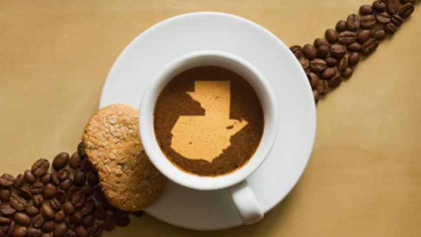 Guatemala anuncia su intención de abandonar la Organización Internacional del Café