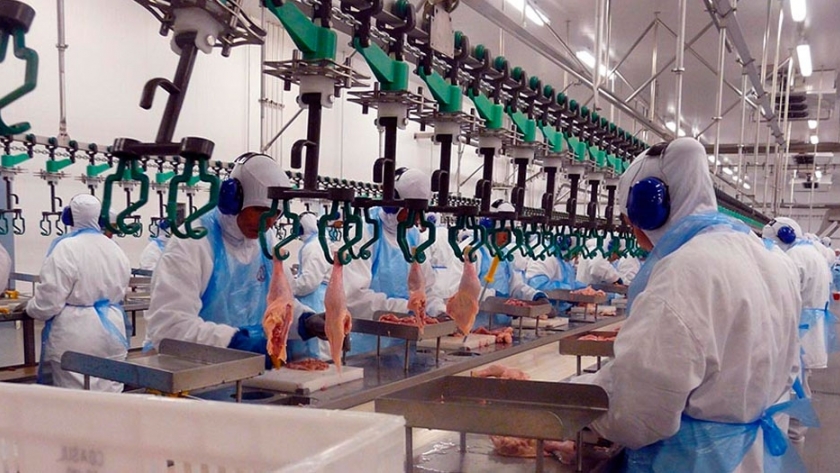 Pollo a China: la lista de plantas que exportarán carne aviar