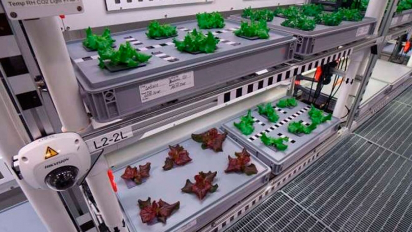 Los futuros astronautas podrían disfrutar de vegetales frescos de un invernadero orbital autónomo