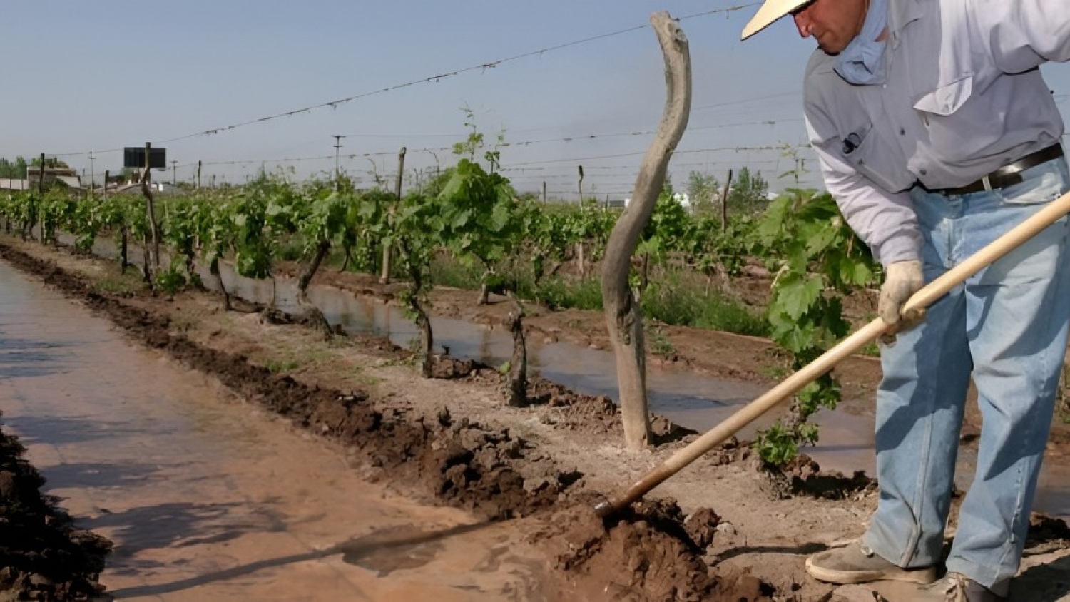 El agro en San Carlos impulsa el riego eficiente y la asistencia integral a productores