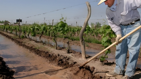 El agro en San Carlos impulsa el riego eficiente y la asistencia integral a productores