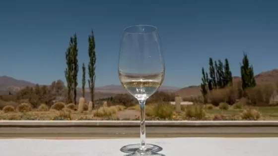 Capacitación turística virtual en la Semana del Torrontés de Altura para promover el enoturismo salteño