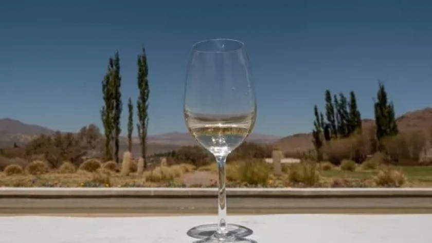 Capacitación turística virtual en la Semana del Torrontés de Altura para promover el enoturismo salteño