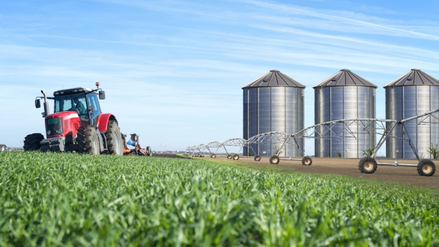 El agro lidera la economía argentina: un informe revela que genera el 22% del PBI nacional