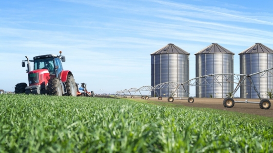 El agro lidera la economía argentina: un informe revela que genera el 22% del PBI nacional