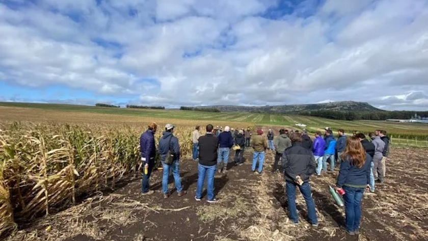 Productores presentarán un espacio inédito en Expoagro 2024: 