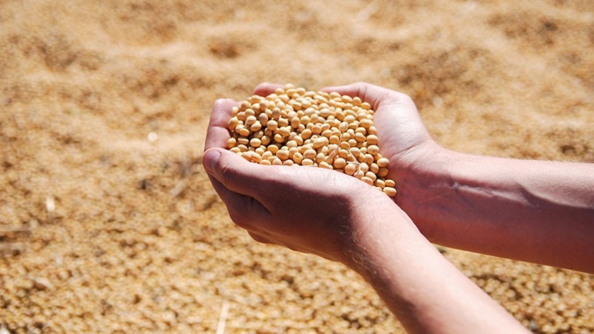 Con soja refuerzan la seguridad alimentaria en comunidades carenciadas