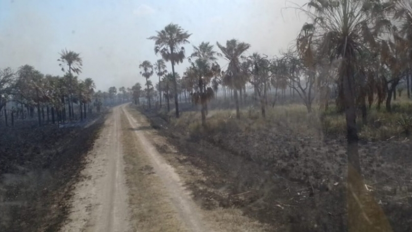 El Parque Nacional Río Pilcomayo habilitó el ingreso a los visitantes