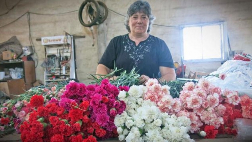 Las Banderitas, producción florícola que flamea alto
