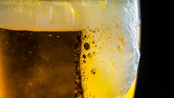 Los beneficios de la cerveza en la salud: un consumo moderado para el bienestar