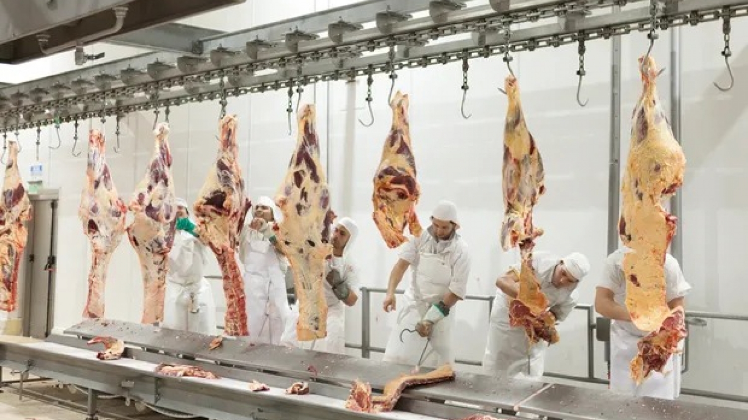 Ganadería: repuntó la faena vacuna, pero sigue por debajo de 2025