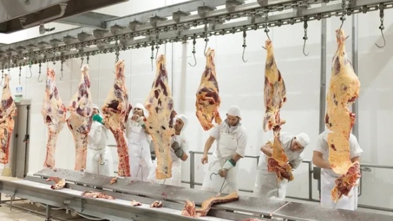 Ganadería: repuntó la faena vacuna, pero sigue por debajo de 2025