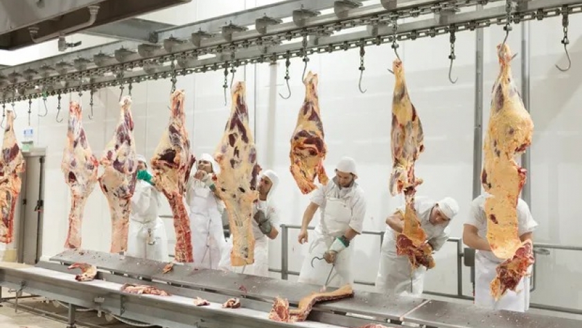 Ganadería: repuntó la faena vacuna, pero sigue por debajo de 2025