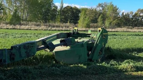 Alfalfa en el Valle Inferior: calidad, rotación y exportaciones