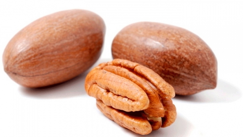 Nuez pecán: aumentar calidad para ganar mercado