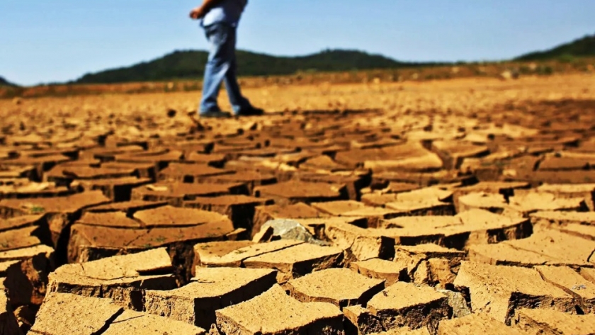 La cosecha brasileña se enfrenta al clima