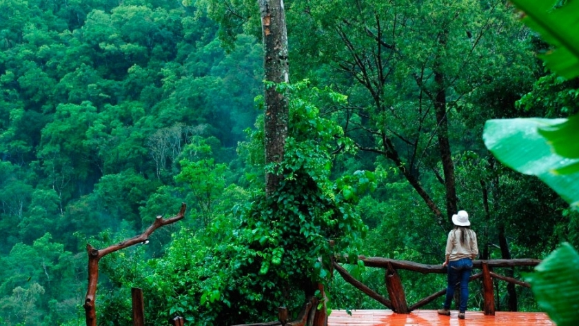 Tacuapi Lodge en el corazón de la Selva Misionera, El turismo sustentable es nuestro logro y nuestro desafío