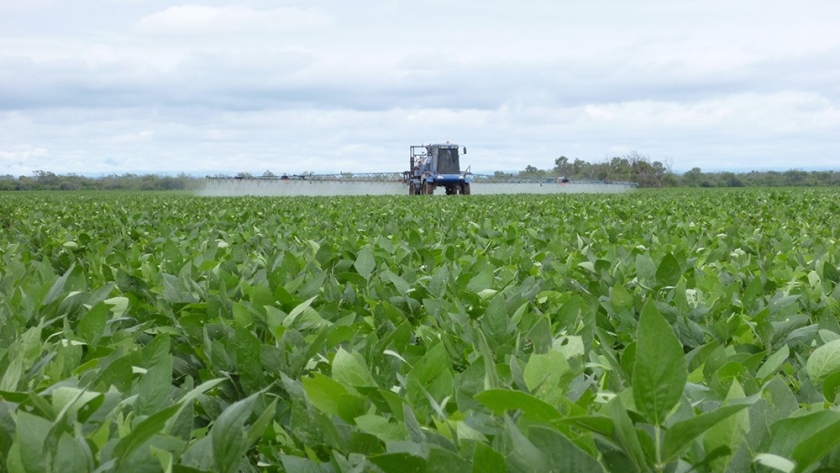 La inflación en el campo: los insumos suben hasta 234% y los granos solo los corren de atrás