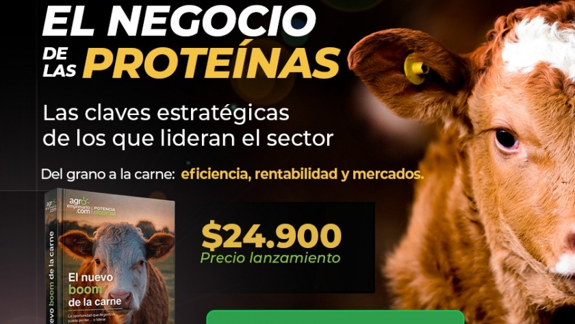Carne: la oportunidad global que vuelve a poner a la Argentina frente a una decisión estructural