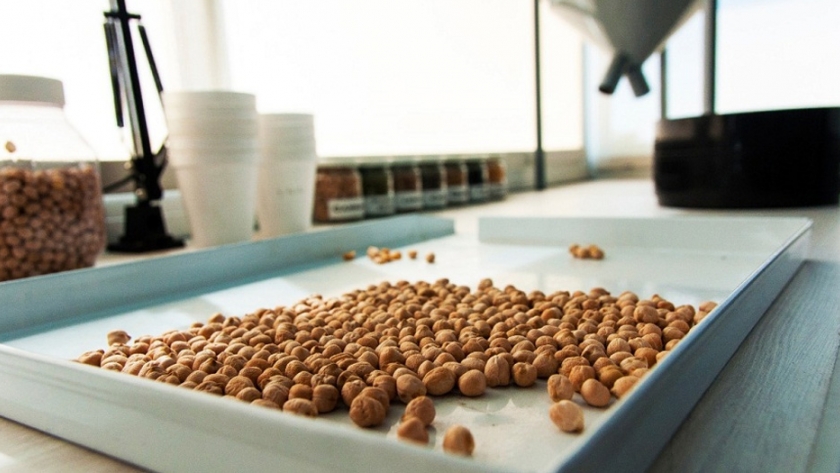 Inteligencia comercial: crece la exportación del garbanzo local