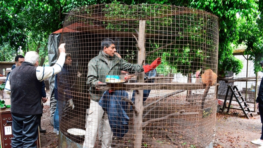 Entre Ríos protege a especies en peligro