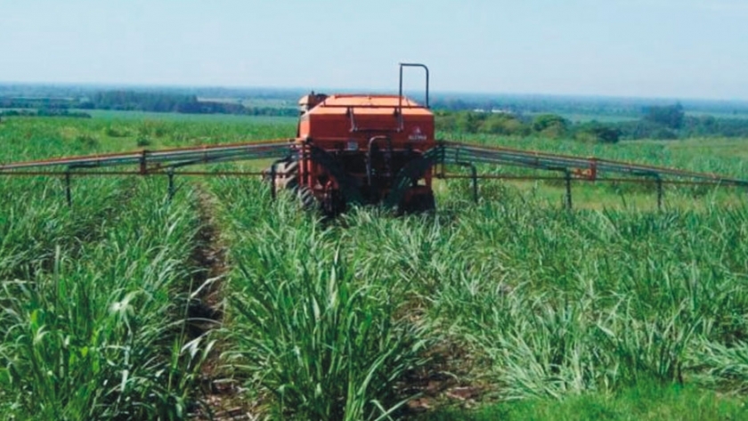 Fertilización en caña de azúcar en la provincia de corrientes