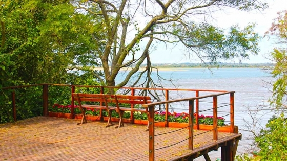 Isla del Cerrito: el pueblo donde se unen dos grandes ríos