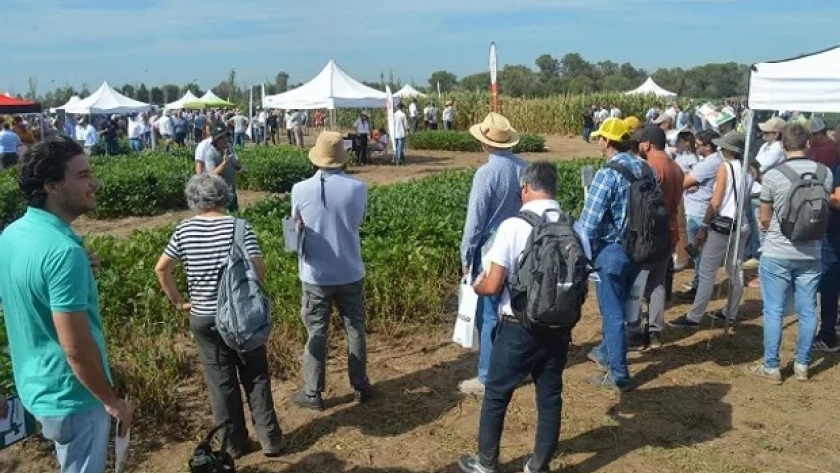 Todo sobre bioinsumos: cómo crece el mercado en Argentina, por qué no son inocuos y las principales conclusiones del encuentro cumbre que reunió a 1300 personas