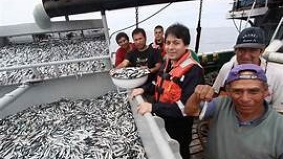 Hasta Febrero, según el Índice de Producción Industrial Pesquero, la actividad subió el 8.2%. Es dato oficial del INDEC