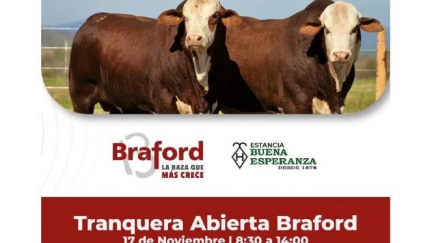 Jornada de Tranquera Abierta Braford en Estancia Buena Esperanza