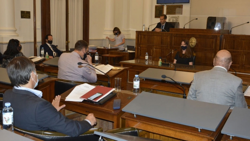 Se realizaron las audiencias públicas para postulantes a presidente y vice del Copnaf