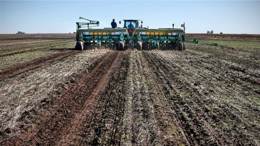 En plena siembra de trigo, fuertes aumentos en los precios de fertilizantes