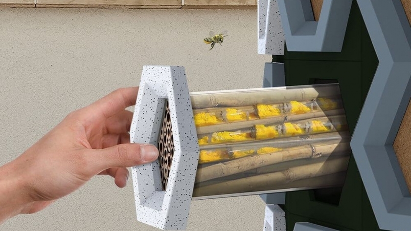 Un sistema modular australiano permite resguardar abejas en el hogar y frenar su extinción