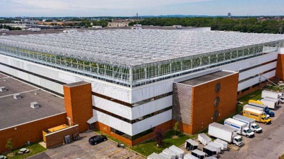 El invernadero en la azotea más grande del mundo abre en Montreal