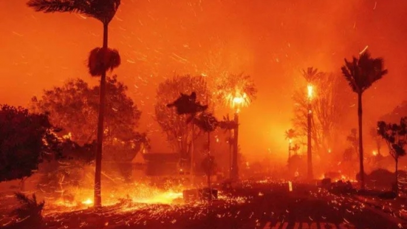 La bioeconomía forestal puede ser clave para mitigar los incendios forestales