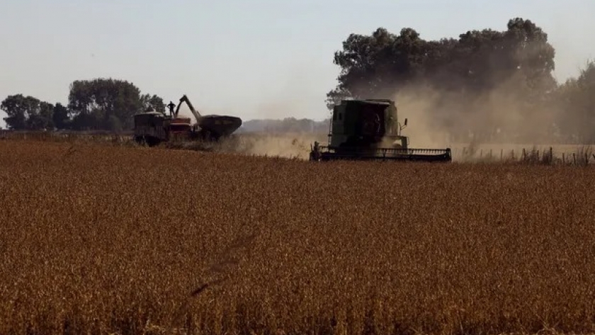 El campo duplicará el aporte al Estado por retenciones en 2024
