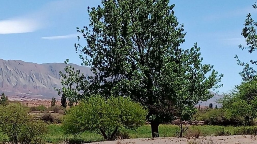 Desarrollo Agropecuario asistió a pequeños productores de Amblayo afectados por el incendio