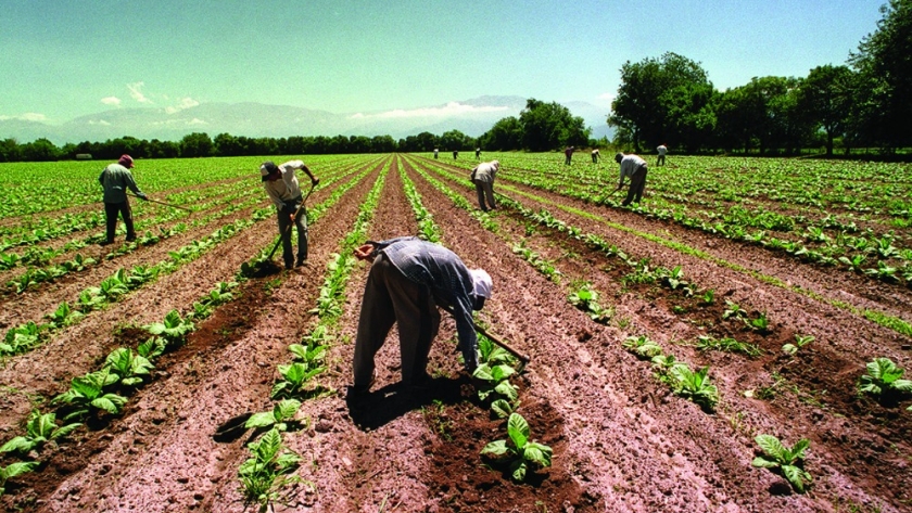 Ley Bases: entidad ruralista celebra la incorporación del régimen de trabajo agrario