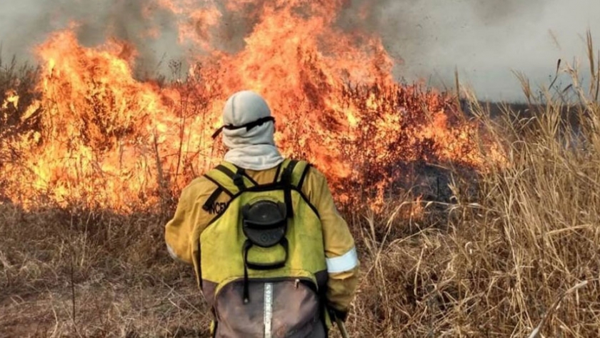 Continúan las tareas de combate del fuego en zonas del Delta del Paraná