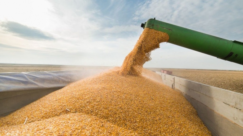 La Bolsa de Comercio de Rosario expresa su rechazo al fideicomiso de trigo y maíz