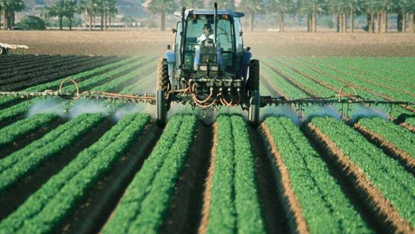 Los estándares de pesticidas del Reino Unido podrían reducirse en nuevos acuerdos comerciales, amenazando la salud pública y el medio ambiente
