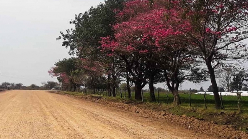 Continúa la obra de readecuación del camino productivo Bovril - El Solar